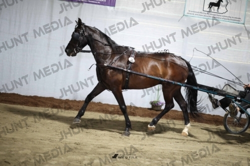 JHM_1507