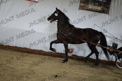 JHM_1519