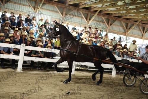 JHM_1523