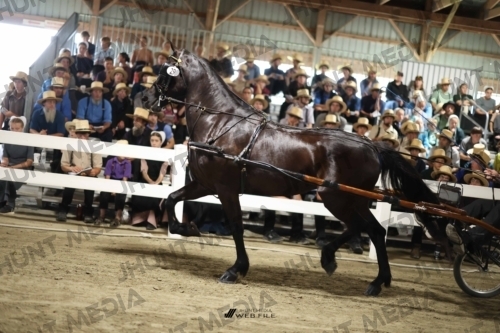 JHM_1524