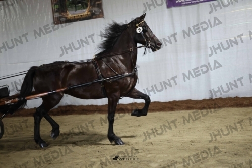 JHM_1528