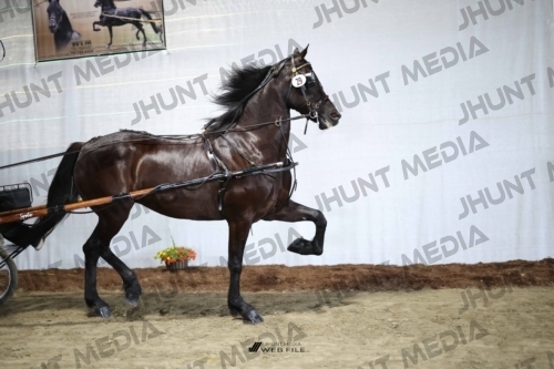 JHM_1530