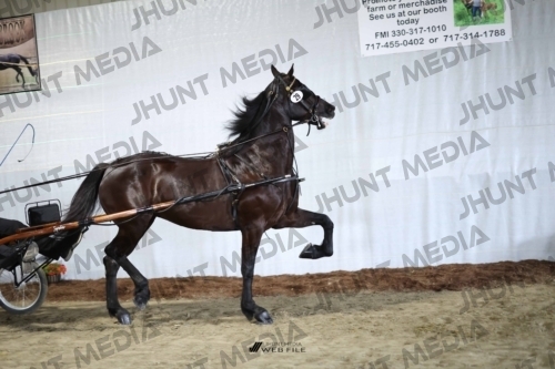 JHM_1532
