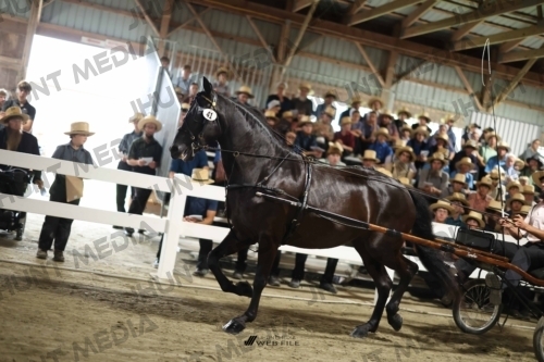 JHM_1680