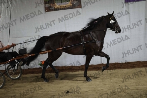 JHM_1682