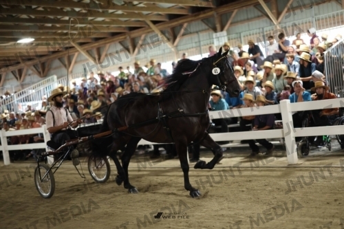 JHM_1683