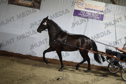 JHM_1684