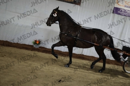 JHM_1687