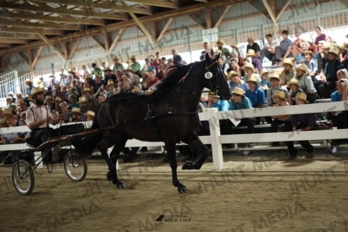 JHM_1690