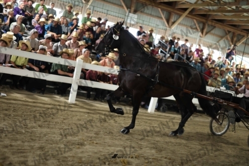 JHM_1694
