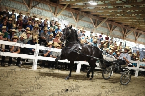 JHM_1695