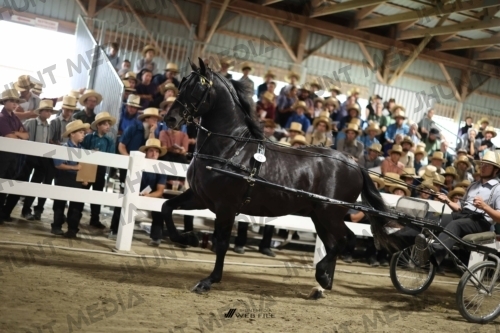 JHM_1696