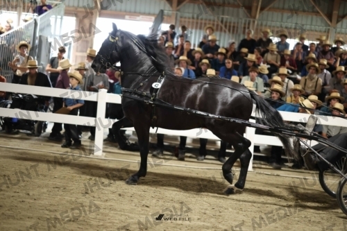 JHM_1698