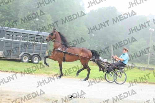 JHM_0568