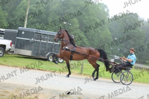 JHM_0659