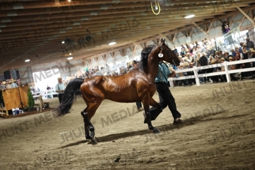 JHM_1740