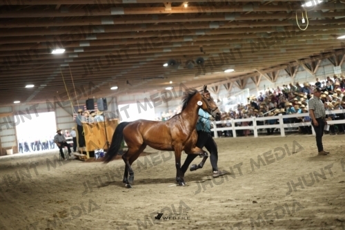 JHM_1741