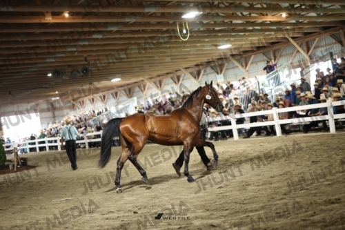 JHM_1742