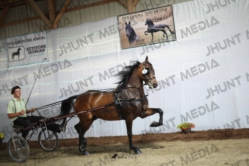 JHM_1752