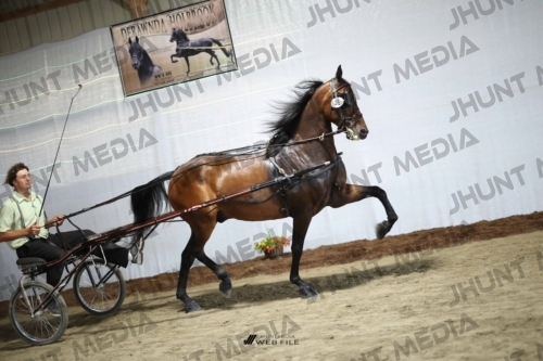 JHM_1754