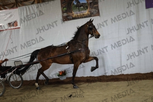 JHM_1716