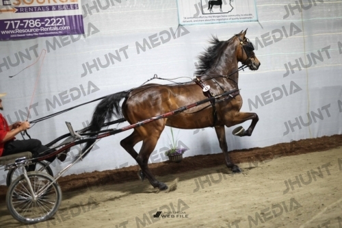 JHM_1717