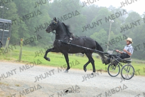 JHM_0681