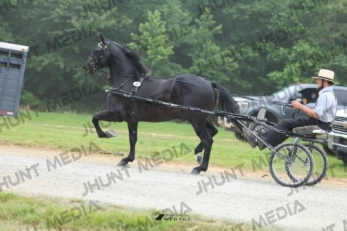 JHM_0692