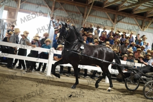 JHM_1705