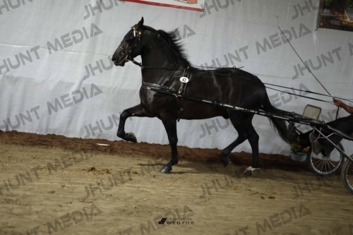 JHM_1706