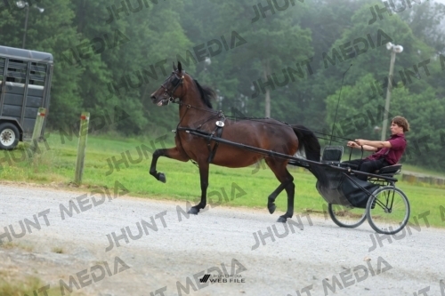 JHM_0448
