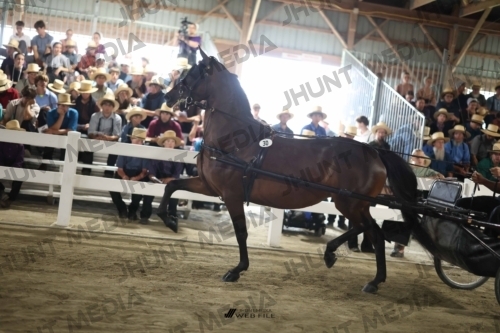 JHM_1534