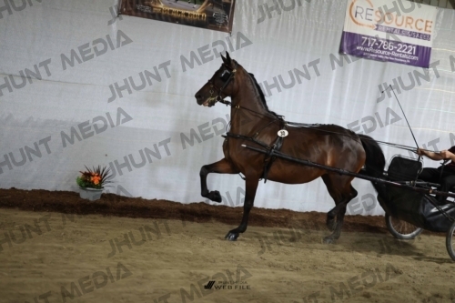 JHM_1537