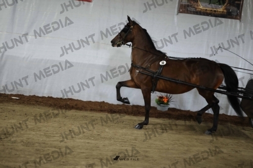 JHM_1540