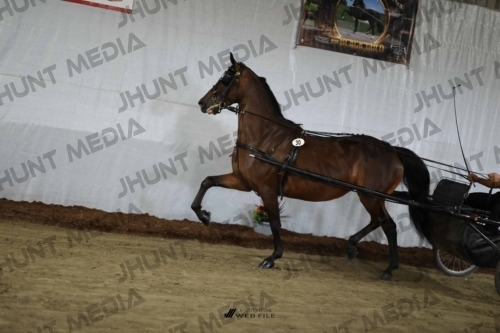 JHM_1544