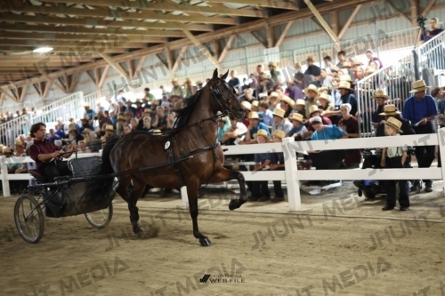 JHM_1545