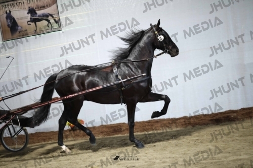 JHM_1610