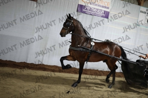 JHM_1619