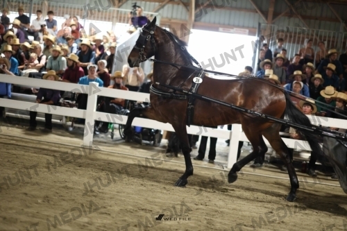 JHM_1622