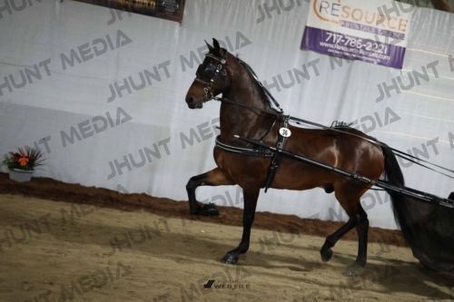 JHM_1630
