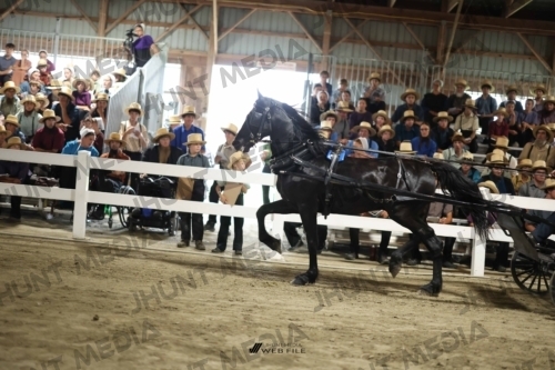 JHM_1631