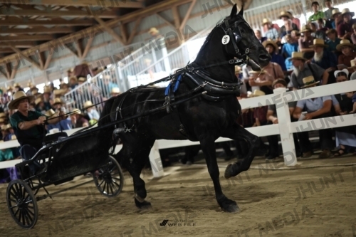JHM_1634