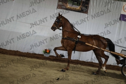 JHM_1645