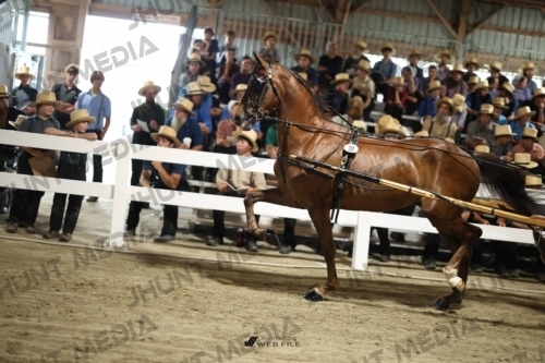 JHM_1647
