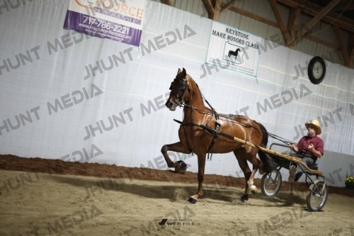 JHM_1648