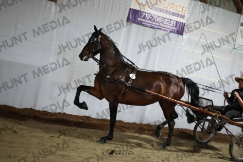 JHM_1656