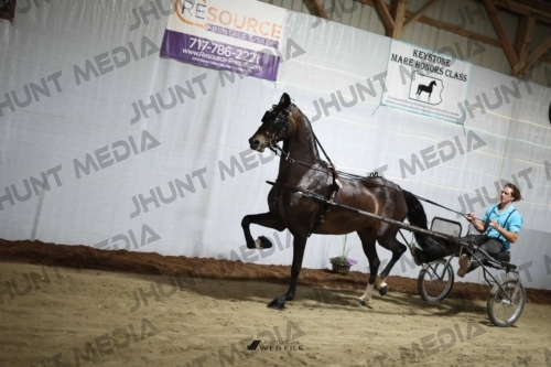 JHM_1667