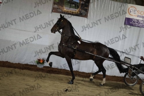 JHM_1668