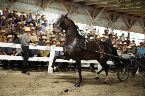 JHM_1670