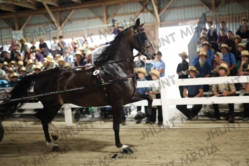JHM_1671